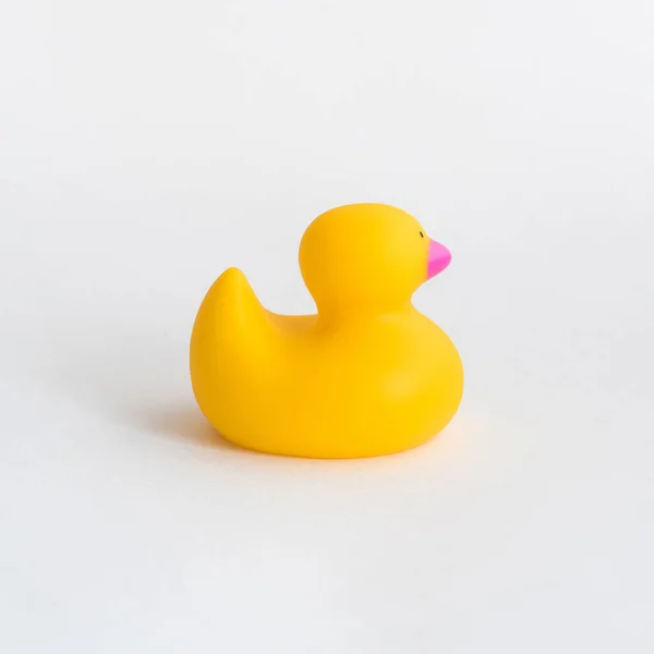 Toy yellow rubber duck isolated on white background. Opposition symbol and political struggle.