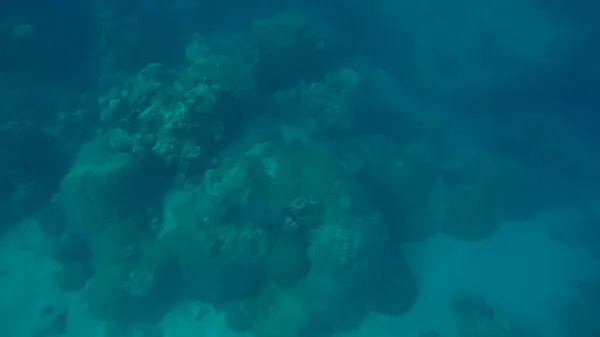 Panoramische scène onder water en blauwe achtergrond — Stockfoto