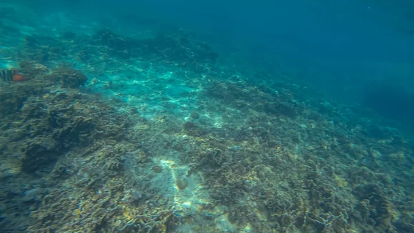 Scena panoramica sotto l'acqua e sfondo blu — Foto Stock