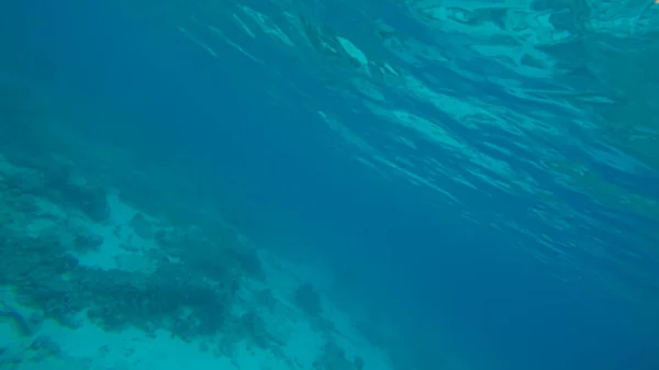Cena panorâmica sob a água e fundo azul — Fotografia de Stock