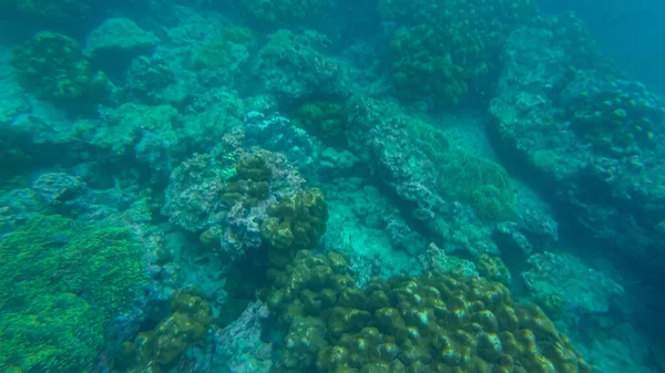 Cena panorâmica sob a água e fundo azul — Fotografia de Stock