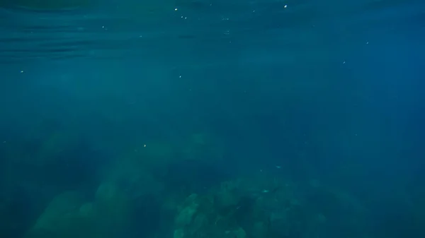 Suyun altında panoramik sahne ve mavi arkaplan — Stok fotoğraf