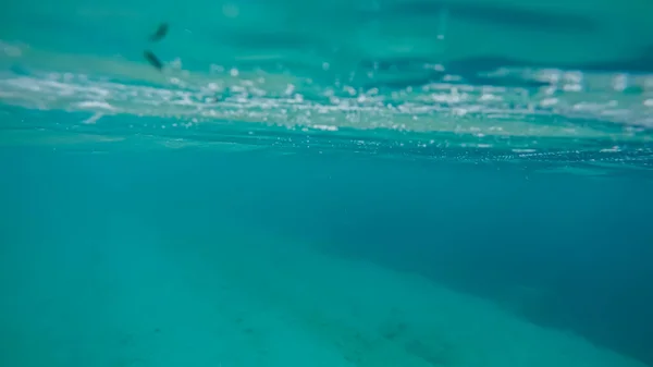 Scena panoramica sotto l'acqua e sfondo blu — Foto Stock