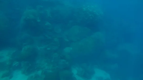 Cena panorâmica sob a água e fundo azul — Fotografia de Stock