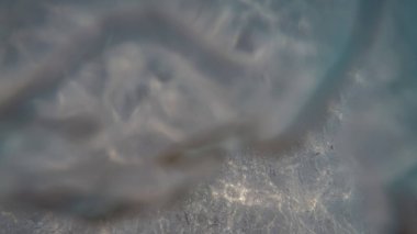 Suyun altında panoramik sahne ve mavi arkaplan