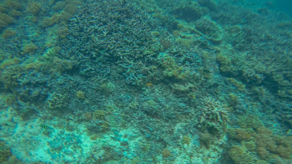 Cena panorâmica sob a água e fundo azul — Fotografia de Stock