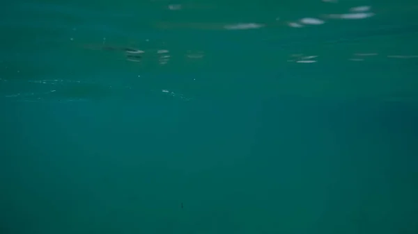 Panoráma jelenet víz alatt és kék háttér — Stock Fotó