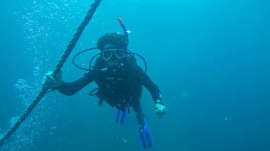 Suyun altında panoramik sahne, mercan ve mavi arkaplan