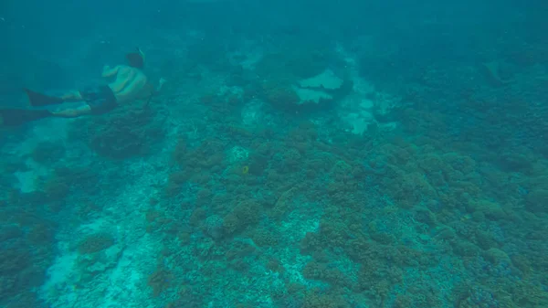 Panoramic scene under water and blue background — Stock Photo, Image