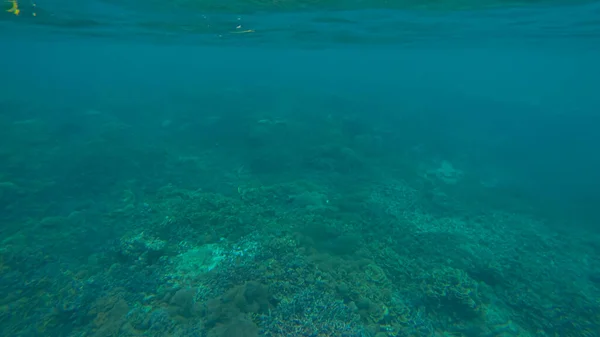 Panoramic scene under water and blue background — Stock Photo, Image