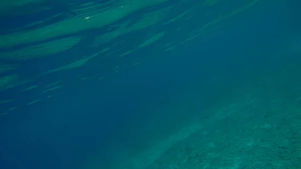 Cena panorâmica sob a água e fundo azul — Fotografia de Stock
