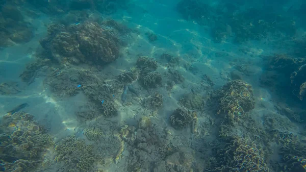 Panoramaszene unter Wasser und blauem Hintergrund — Stockfoto
