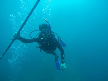 Suyun altında panoramik sahne, mercan ve mavi arkaplan