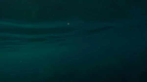 Панорамна сцена під водою і синій фон — стокове фото