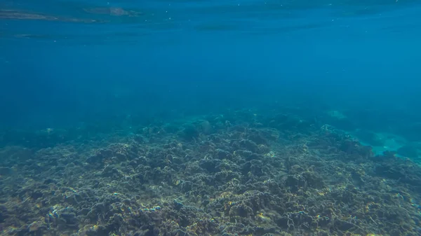 Cena panorâmica sob a água e fundo azul — Fotografia de Stock