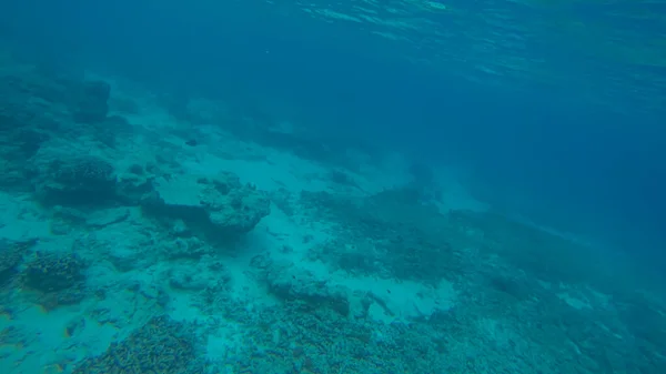 Panoramische scène onder water en blauwe achtergrond — Stockfoto
