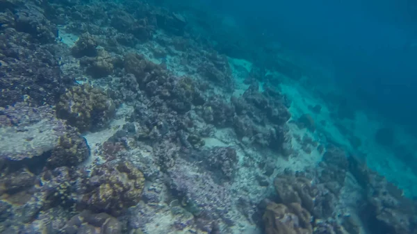 Scène panoramique sous l'eau et fond bleu — Photo