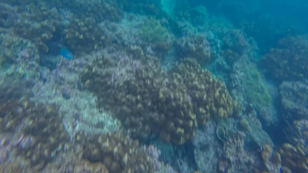 Panoramic scene under water and blue background — Stock Photo, Image