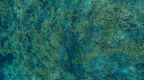 Cena panorâmica sob a água e fundo azul — Fotografia de Stock