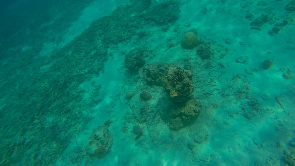 Scena panoramica sotto l'acqua e sfondo blu — Foto Stock
