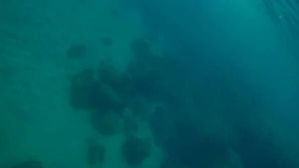 Scène panoramique sous l'eau et fond bleu — Photo