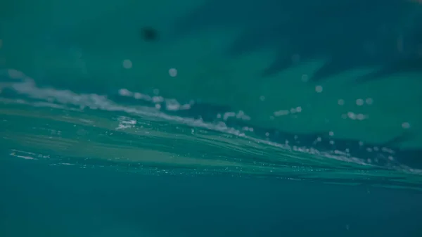 Panorama scen under vatten och blå bakgrund — Stockfoto