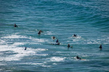 Plajda sörf yapan insanlar, NSW, Avustralya, Sydney 2018