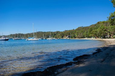 NSW, Avustralya, Sydney 2018 'den panoramik plaj manzarası