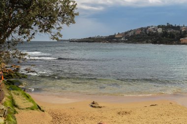 NSW, Avustralya, Sydney 2018 'den panoramik plaj manzarası