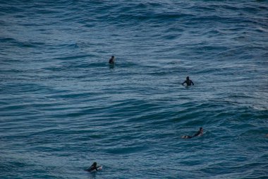 Plajda sörf yapan insanlar, NSW, Avustralya, Sydney 2018