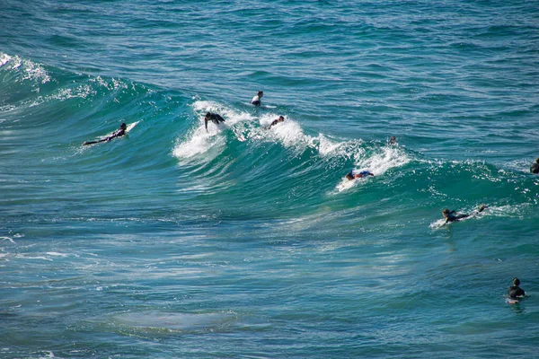 Lidé surfující na pláži, pohled z NSW, Austrálie, Sydney 2018 — Stock fotografie