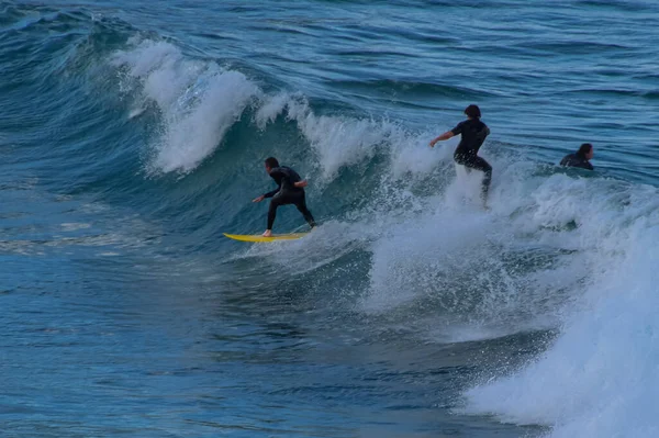 NSW, Avustralya, Sydney 2018 'den panoramik plaj manzarası