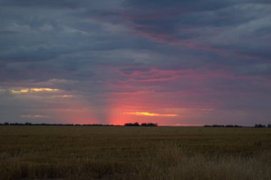 Avustralya 'daki bir çiftlikten panoramik günbatımı görüntüsü 