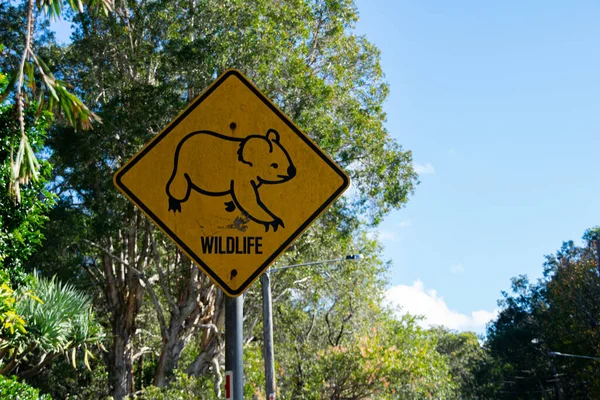 Sign from Australian road trees and blue sky background