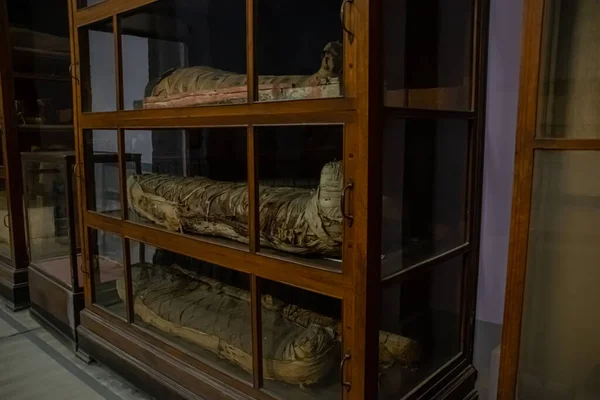 Архитектурный саркофаг и скульптура из Египетского музея, Интерьер. Эль-Каир, Египет 2018 — стоковое фото