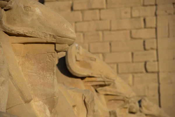 Historische bestemming, architectuur en beeldhouwkunst uit Luxor Karnak, Egypte 2018 — Stockfoto