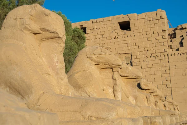 Tarihsel hedef, mimari ve heykel Luxor Karnak, Mısır 2018