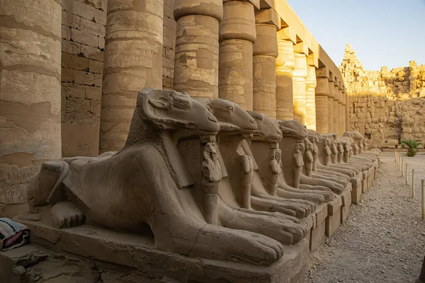 Tarihsel hedef, mimari ve heykel Luxor Karnak, Mısır 2018