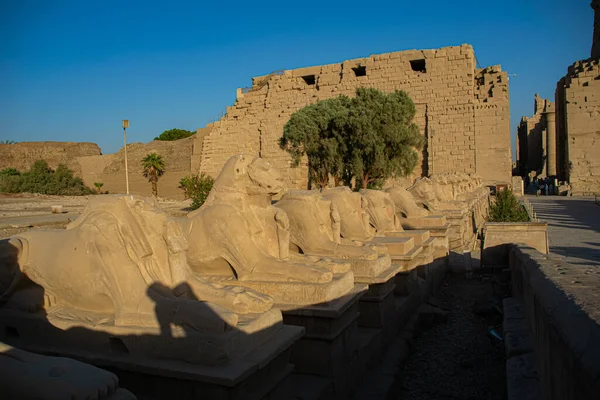 Historisches Reiseziel, Architektur und Skulptur aus Luxor Karnak, Ägypten 2018 — Stockfoto