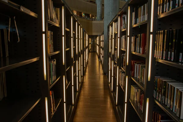 İskenderiye Kütüphanesi, Mısır 2018 'den iç mekan. Yüksek kalite — Stok fotoğraf