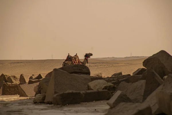 Panoramautsikt från Giza Desert, Arkitektur och historisk plats från Egypten, El Kairo 2018 — Stockfoto