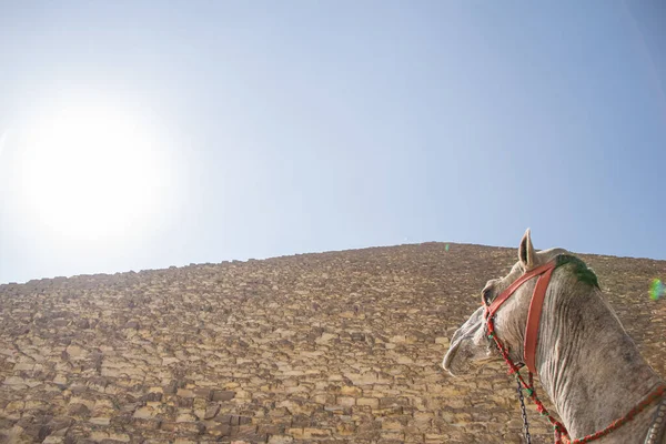 Giza Çölü 'nden panoramik manzara, Mısır' dan mimari ve tarihi yer, El Kahire 2018 — Stok fotoğraf