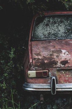 90 'lardan kalma eski araba bitkilerin arasında terk edilmiş. Terk edilmiş Arjantin R12 arabası küf dolu..