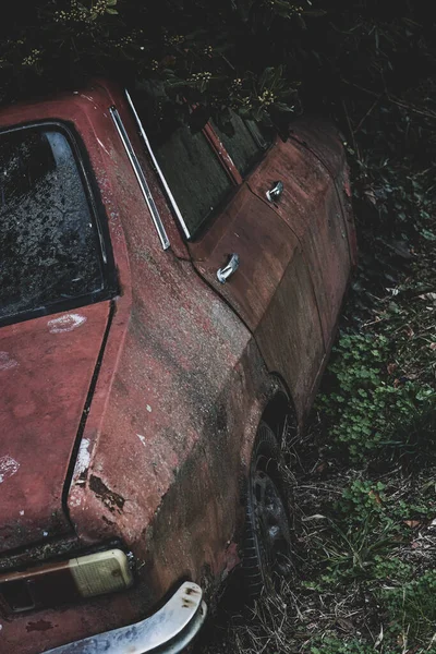 Velho Carro Dos Anos Abandonado Entre Plantas Abandonado Carro R12 — Fotografia de Stock