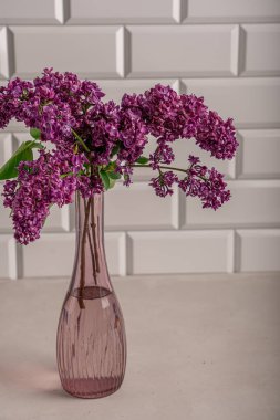 Evdeki cam vazoda çiçek açan leylak dalları.