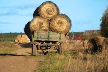 Çiftlik köyünün güneşli ve ılık sonbahar gününde eski bir kamyonda saman yüklü kırsal bir sahne. Samanlar ya da diğer bitkiler kışın depolanmak ve çiftlik hayvanlarını beslemek için kullanılmak üzere kesilip kurutulur. Yatay