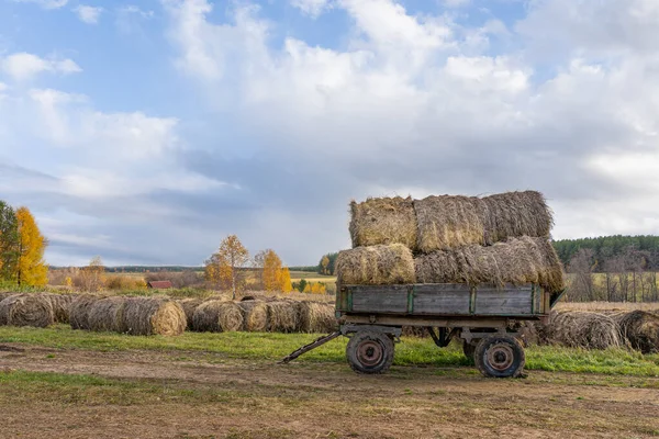 Landelijk Tafereel Met Hooi Geladen Oude Truck Zonnige Herfstdag Boerderij — Stockfoto