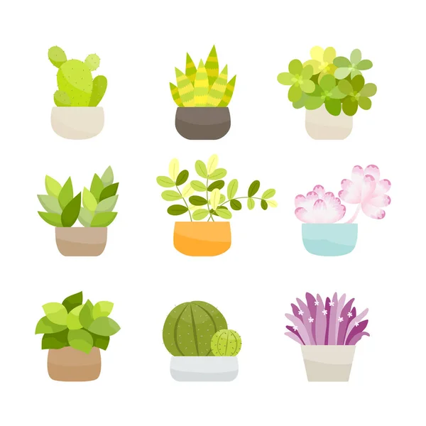 Collection Small Green Bushes Potted Plants Vector Illustration — Stock Vector