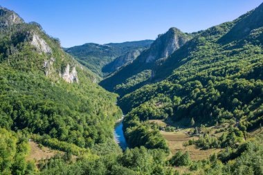 Güzel görünümü üzerinde yeşil dağlar ve Tara River Canyon içinde Karadağ Amazing Doğa Doğu Avrupa ile 