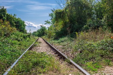 Perspektif görünümü güneşli gün ve mavi gökyüzü, endüstriyel kavramsal arka plan, ulaşım demiryolu Turizm İstasyonu yeşil ormandaki yaşlı demiryolu yollarının